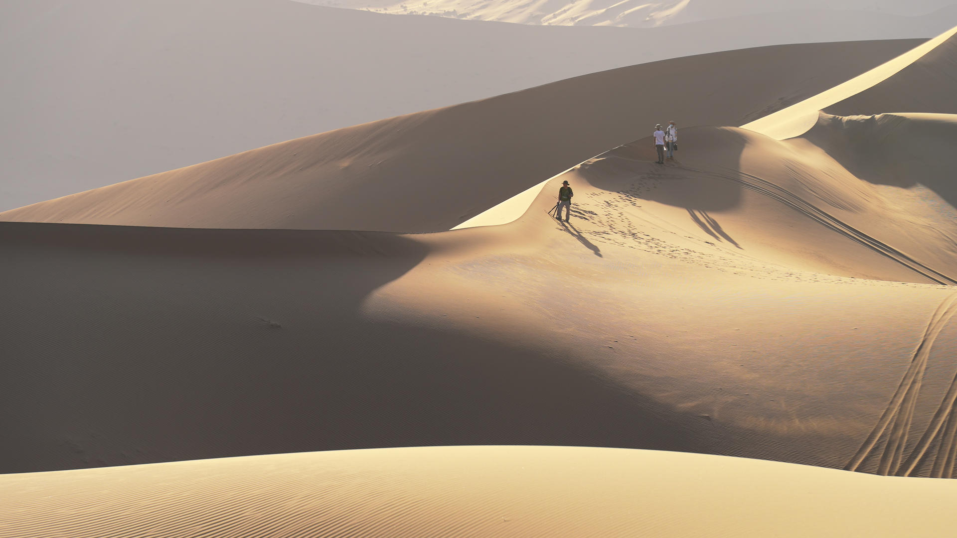 游客在新疆塔克拉玛干沙漠沙丘无人区旅游4k素材视频的预览图