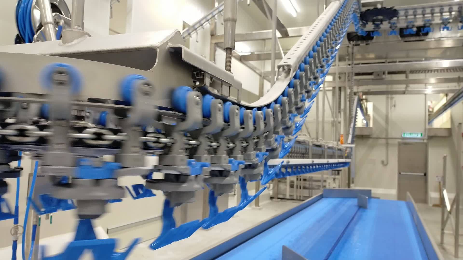 生鸡生产线加工厂视频的预览图