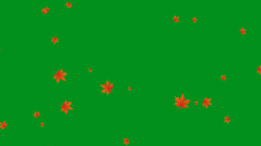 4K枫叶飘落绿屏抠像素材视频的预览图