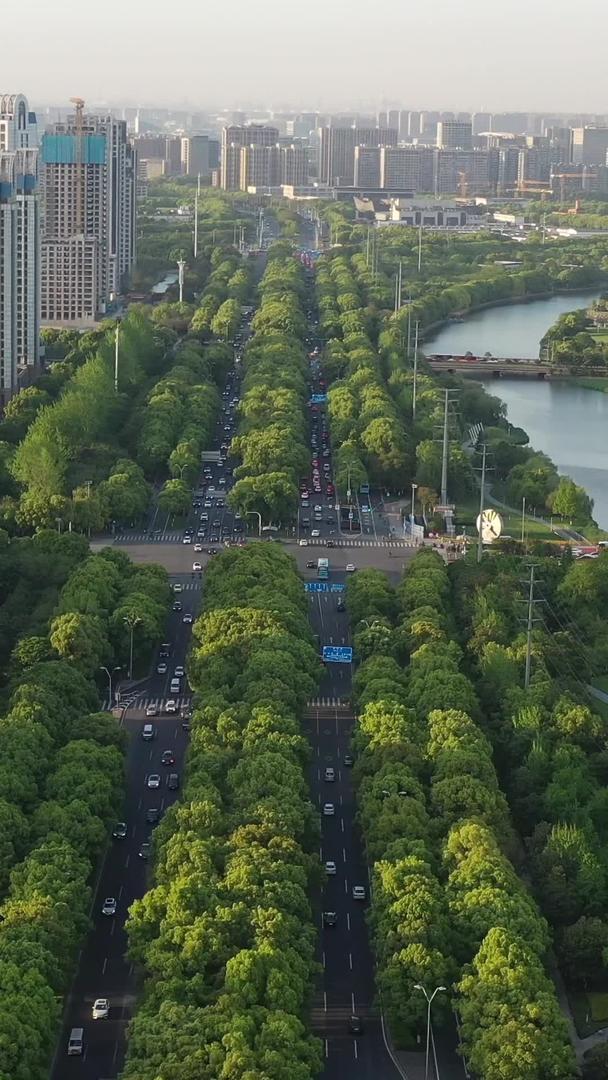 宁波城市风景世纪大道航拍视频视频的预览图