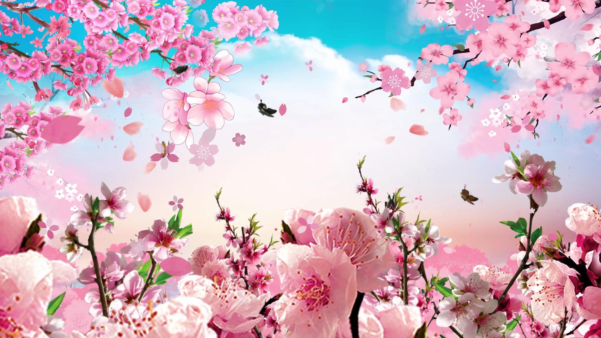 4K唯美春游春天樱花桃花盛开背景视频视频的预览图