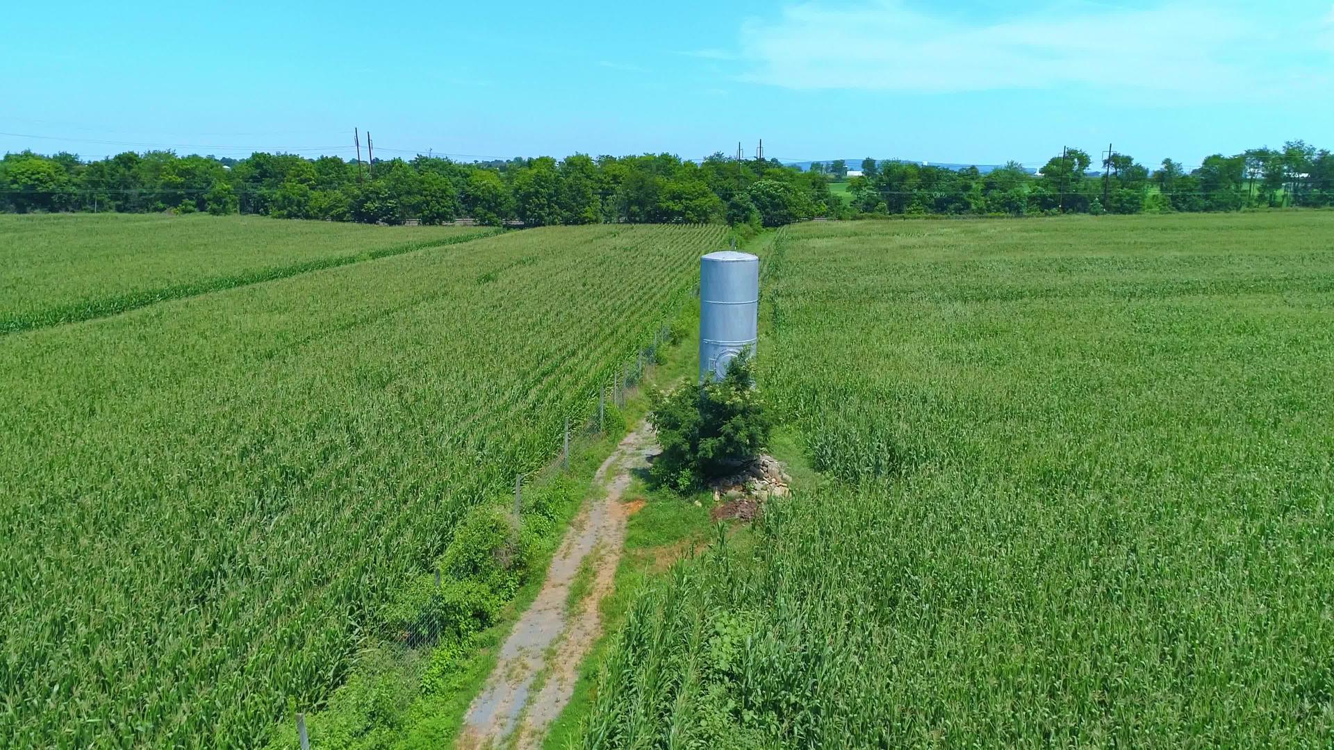 绿色玉米田中央的一座旧水塔视频的预览图