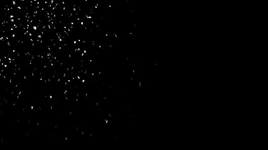 雪花粒子左端视频的预览图
