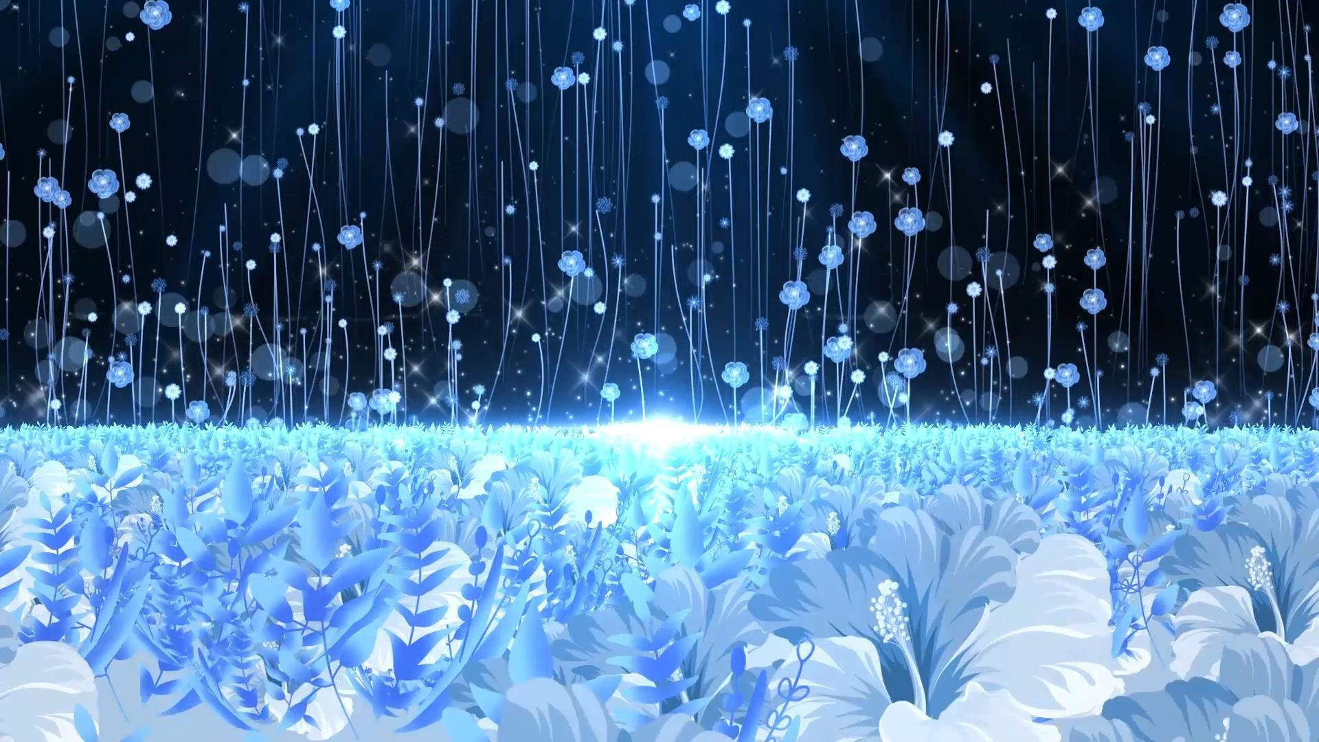唯美梦幻蓝色花海动态粒子拖尾光效视频素材视频的预览图