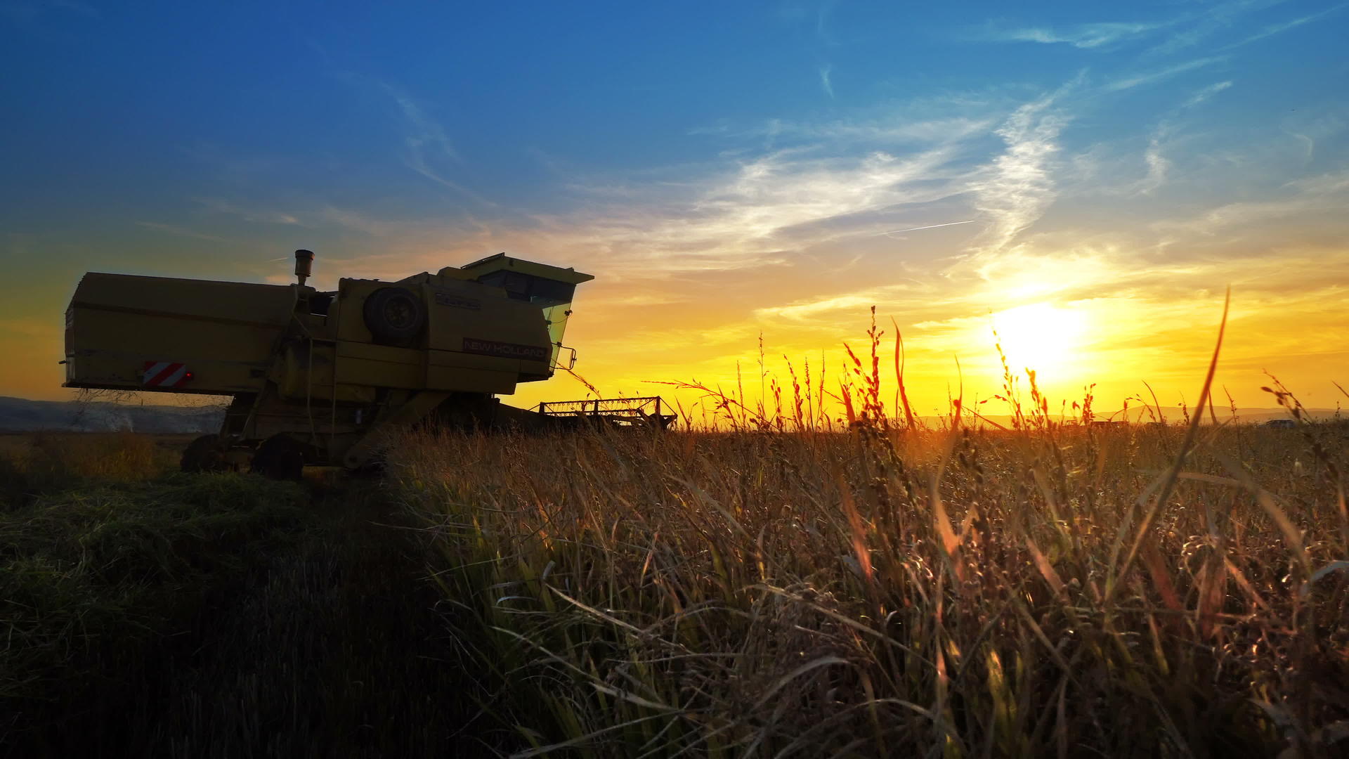 日落和日出复合收割器收获田野小麦视频的预览图