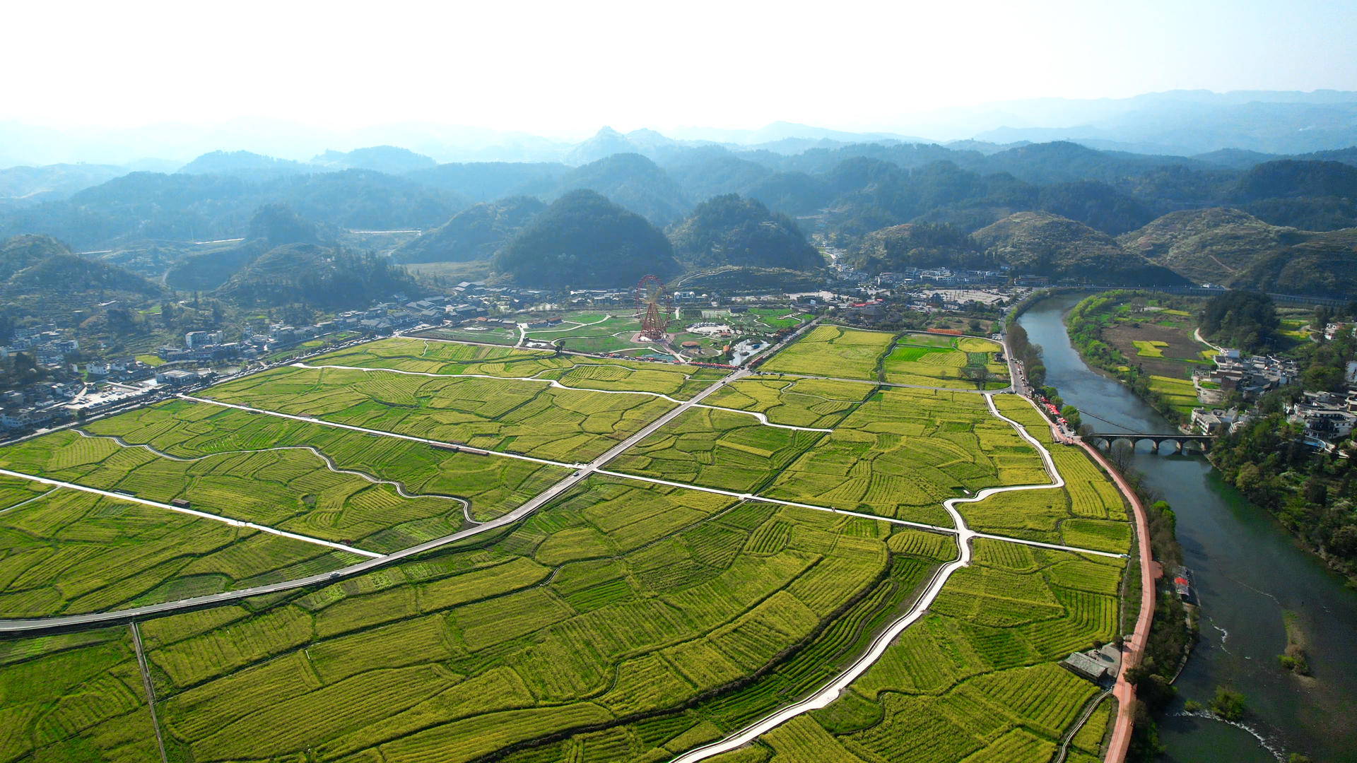 4K唯美航拍贵州新农村生态油菜花花海视频的预览图