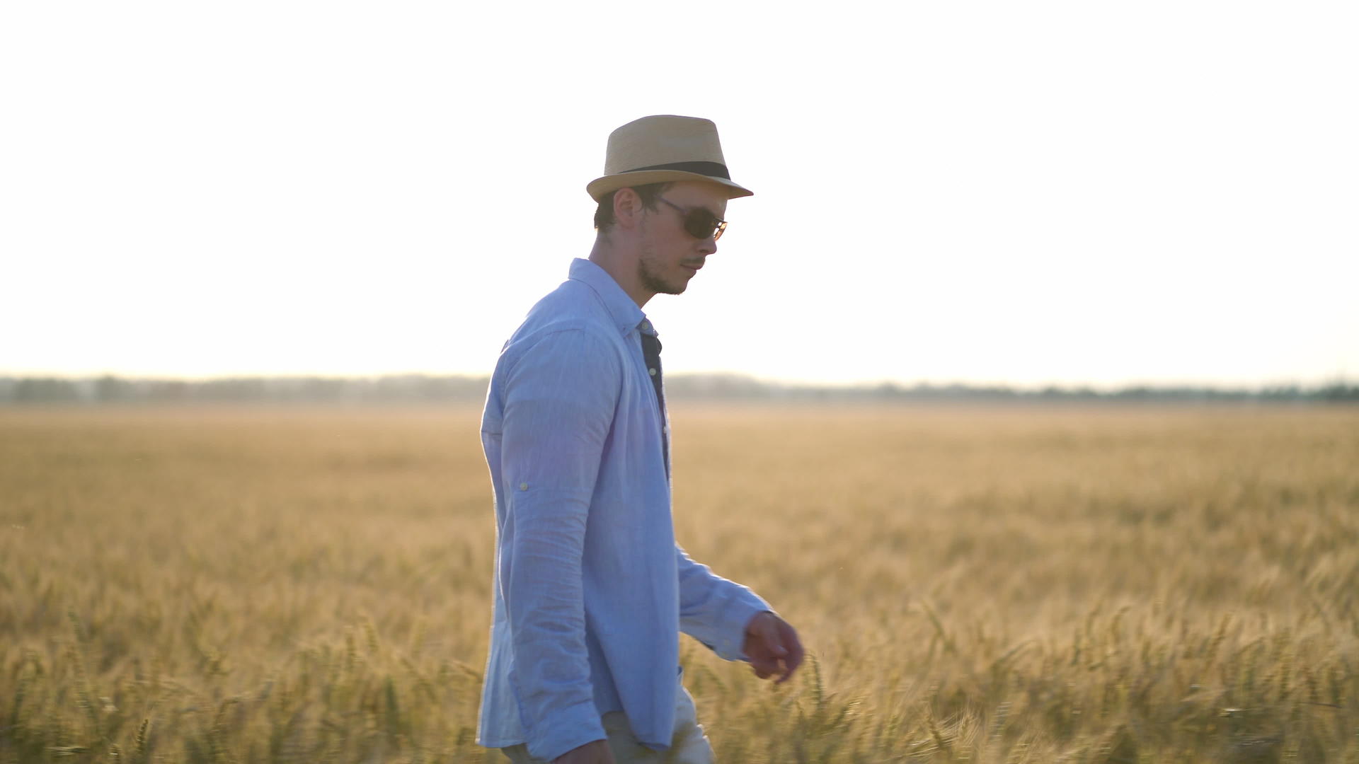 农民男子戴着帽子走在麦田里视频的预览图