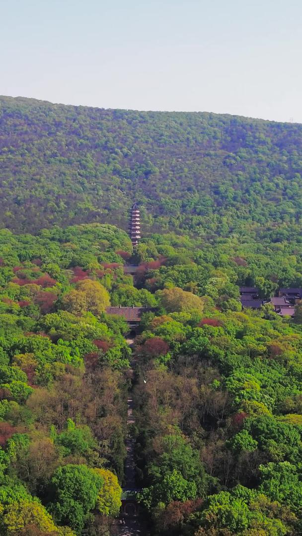 南京5A风景区中山陵灵谷寺灵谷寺灵谷塔视频的预览图