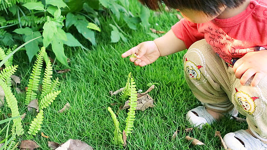 儿童在草地上摘草叶视频的预览图