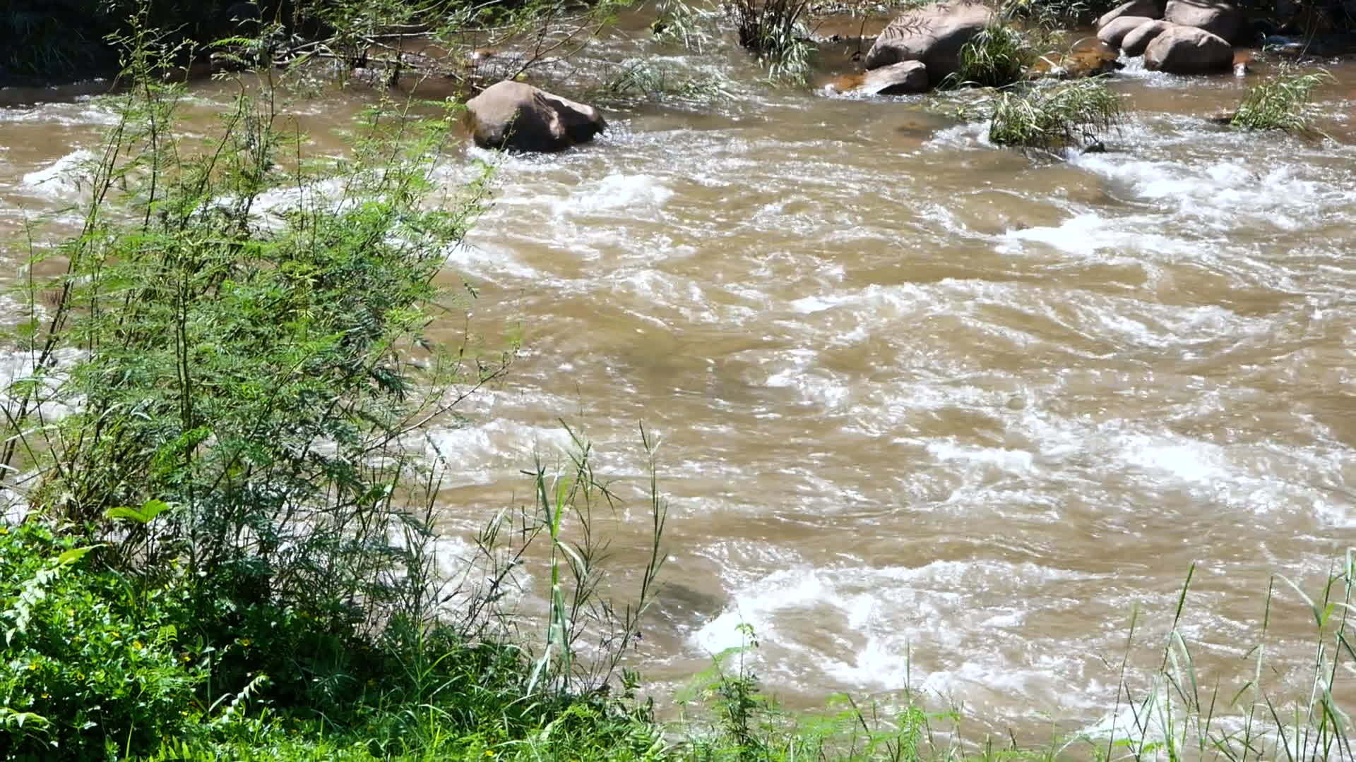 河流湍急视频的预览图
