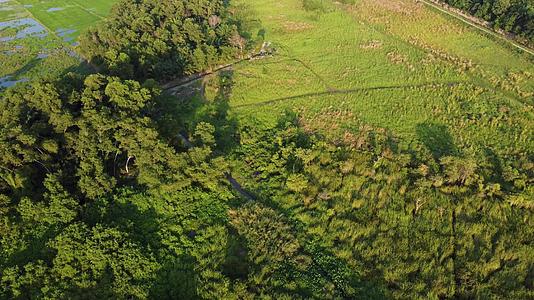 无人驾驶飞机飞越马来西亚的绿草地视频的预览图