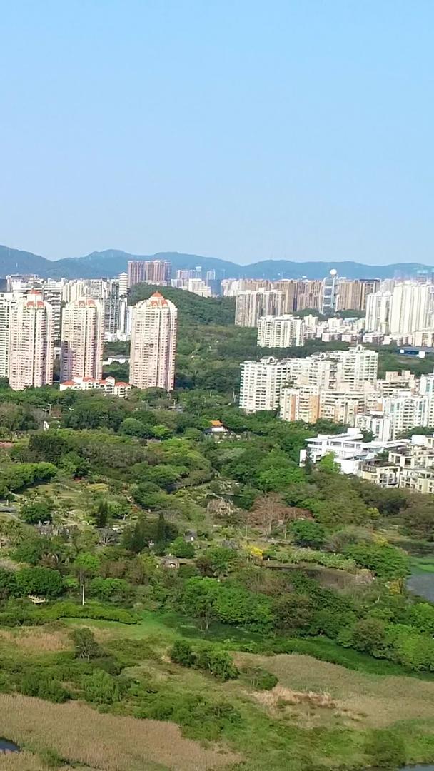 深圳南山建筑群航拍视频的预览图