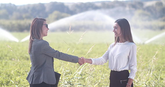 两名商业妇女和农业灌溉系统在绿地上握手视频的预览图