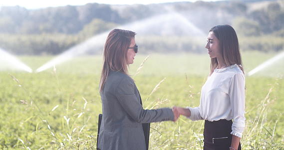 两名商业妇女和农业灌溉系统在绿地上握手视频的预览图