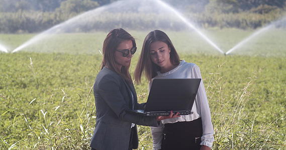农业灌溉系统田间有笔记本电脑的女商人视频的预览图