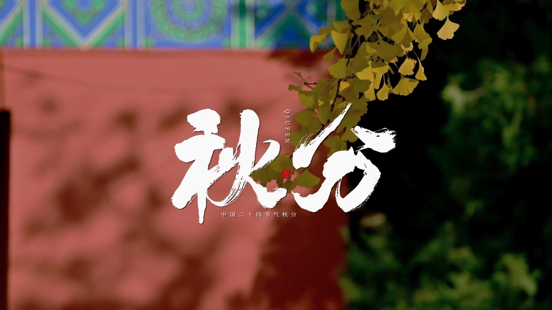 秋分诗歌图文AE模板视频的预览图