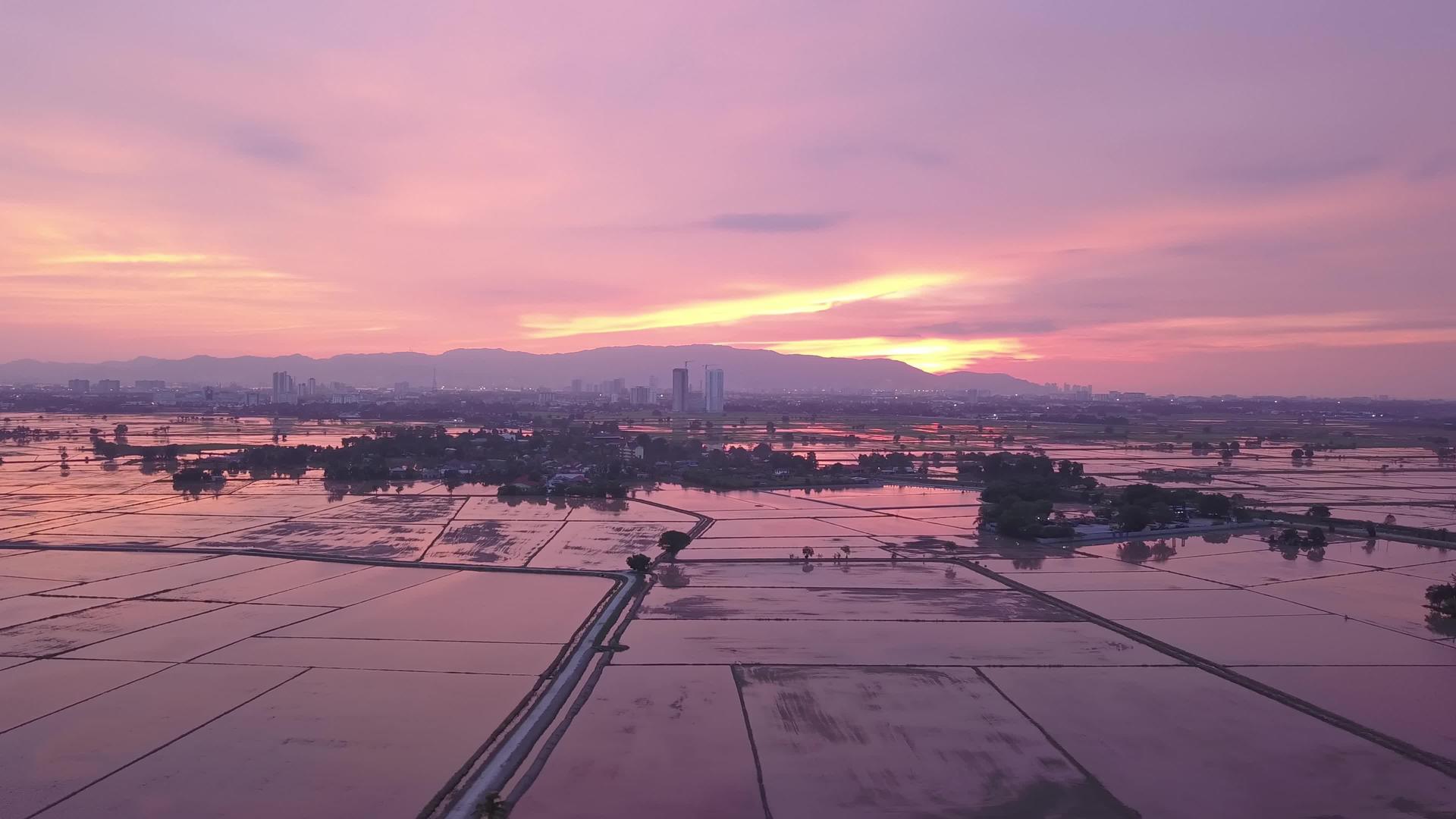 观察洪水稻田上空的日落视频的预览图