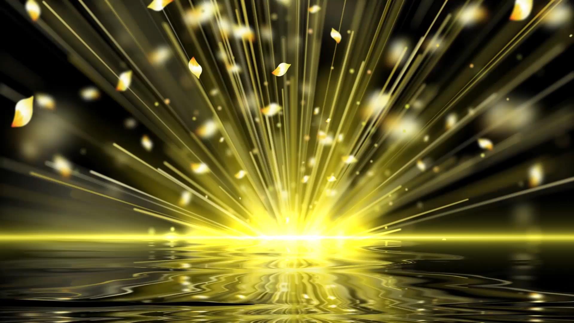 金色大气粒子花瓣放射光效倒影背景视频素材视频的预览图