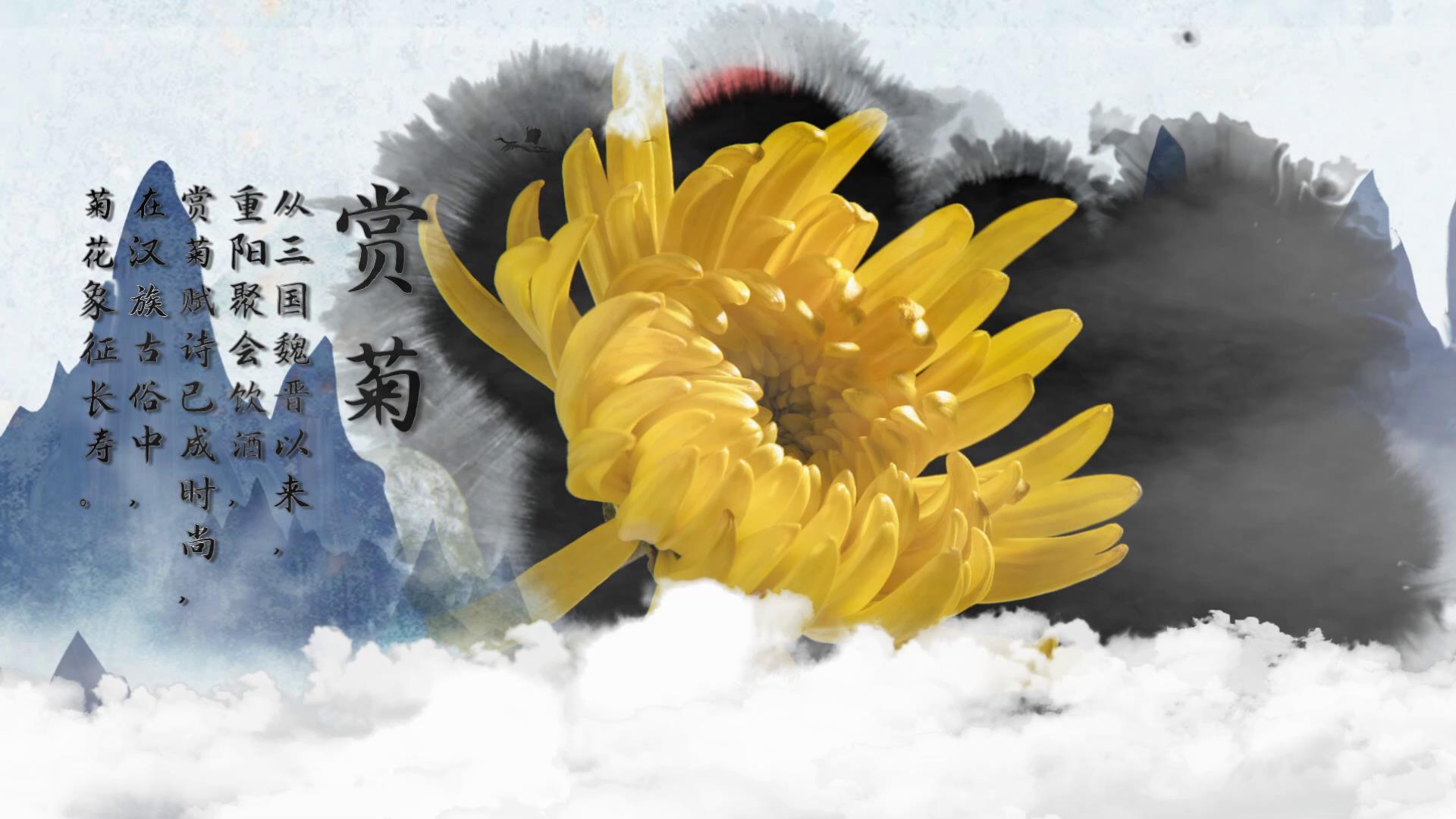 传统节日重阳节中国风宣传视频的预览图
