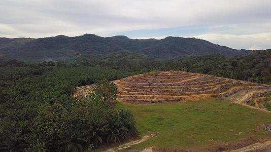 在Kedah清除油棕榈种植园视频的预览图