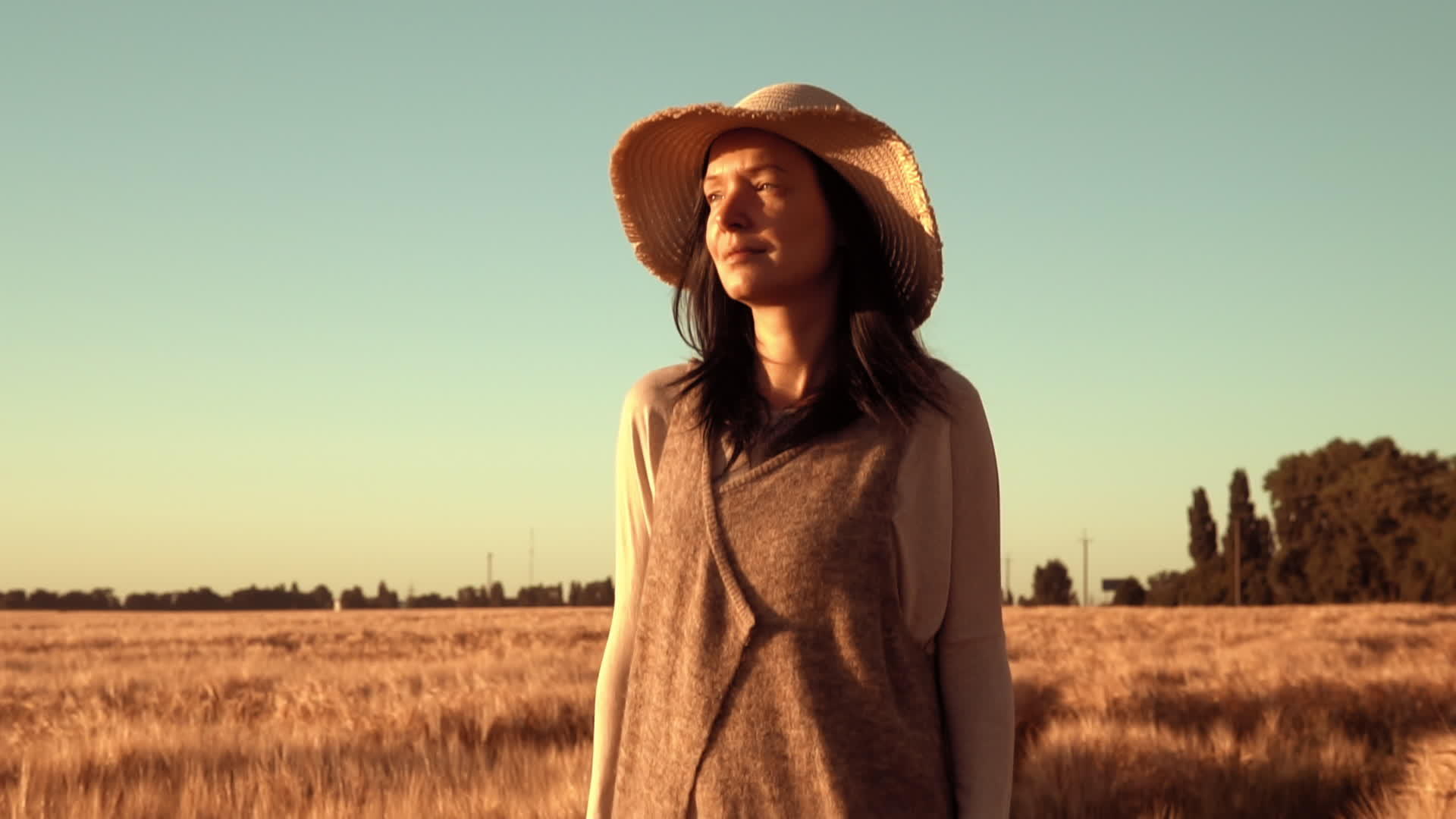 女人用黄色的小麦在田地里行走视频的预览图