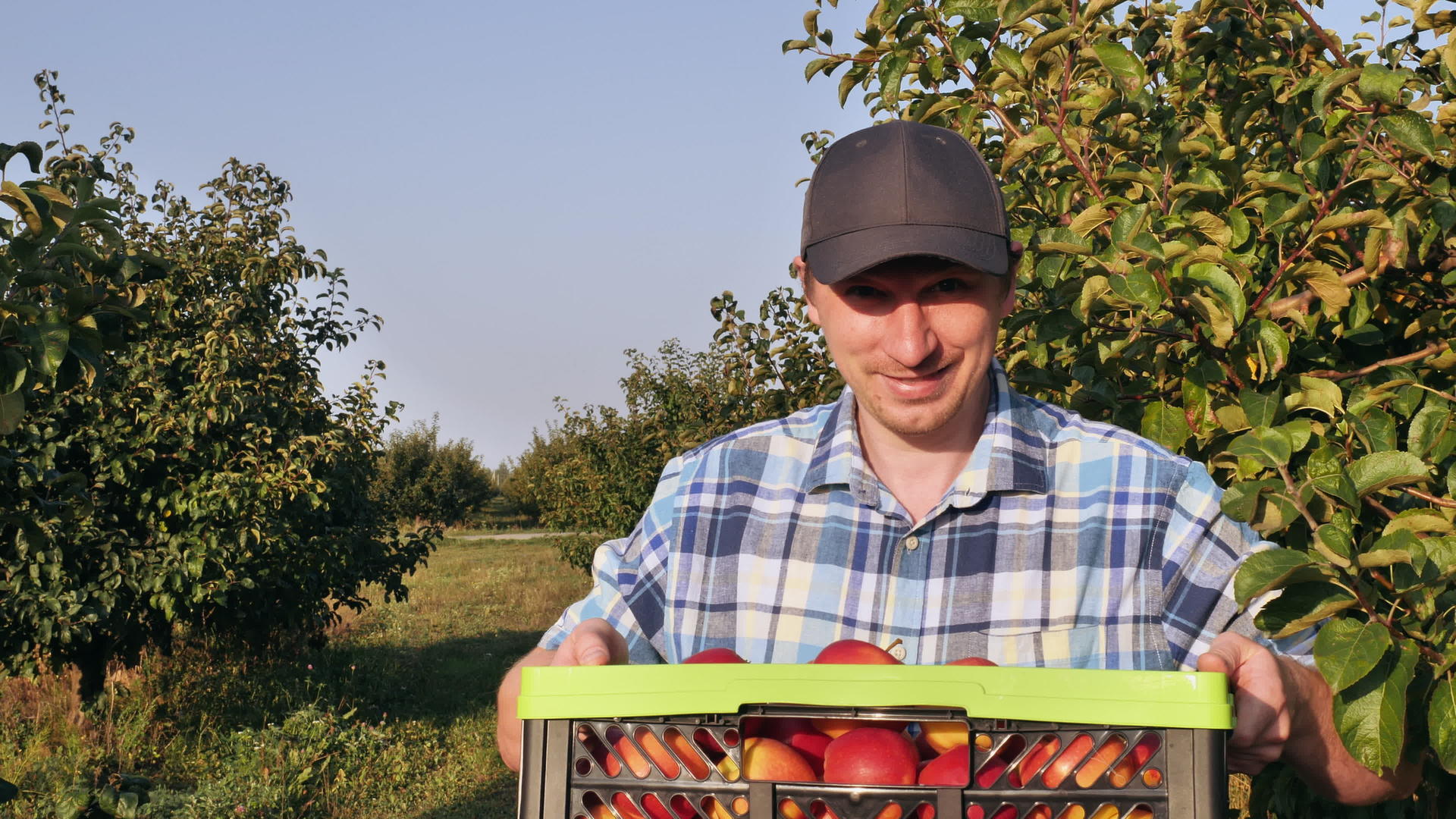 户外水果种植者肖像视频的预览图