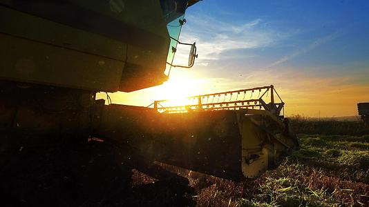 日落时收割机在稻田上移动收割小麦视频的预览图