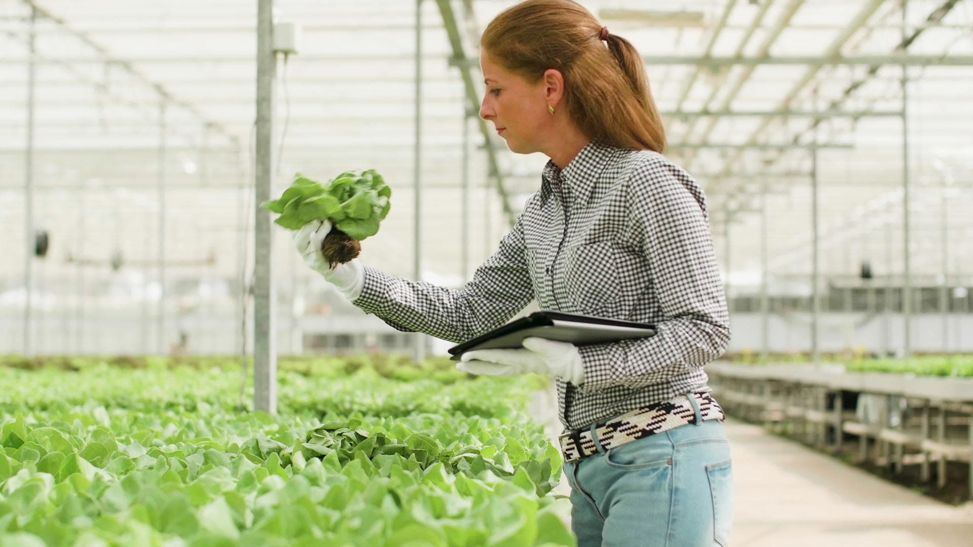 检查食用绿色沙拉后女农艺工程师在平板电脑上打字视频的预览图