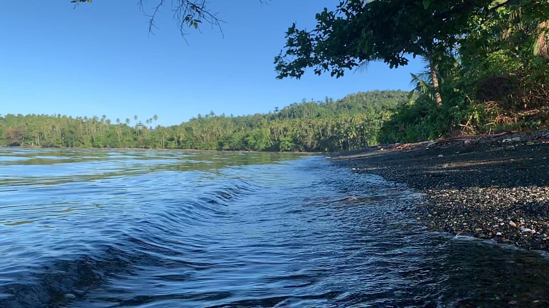 巴厘岛海边大树升格视频视频的预览图