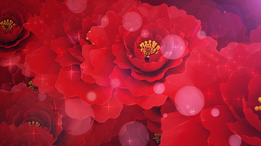 玫瑰花背景视频素材视频的预览图