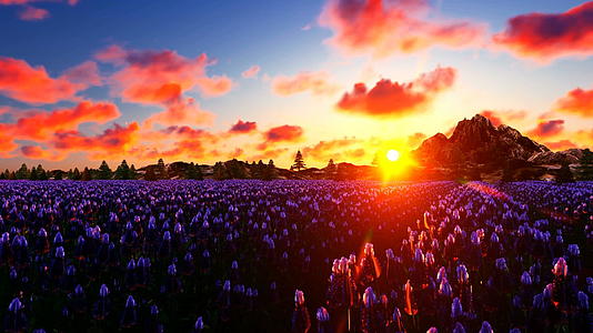 法国薰衣草田山边美丽的日落视频的预览图