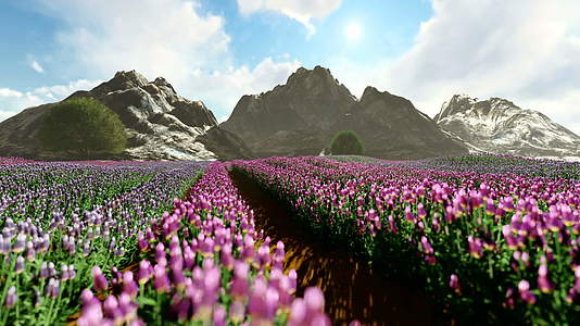 紫色草原以山为背景视频的预览图