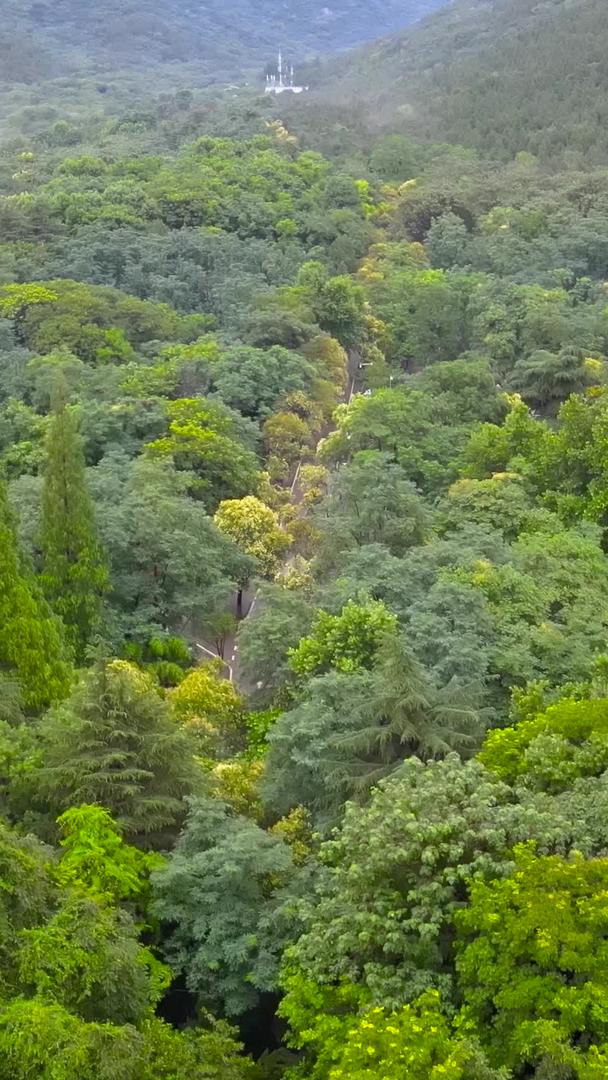 淮北省4A风景区相山国家森林公园航拍视频的预览图