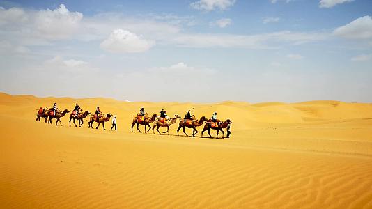 4K蓝天白云下行驶在荒芜沙漠的骆驼队视频的预览图