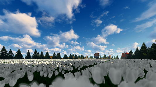 云层在惊人的白色郁金香田上运行视频的预览图