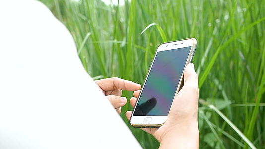 年轻年轻女性的农民玉米田附近的兽医草刀检查手持智能手机视频的预览图