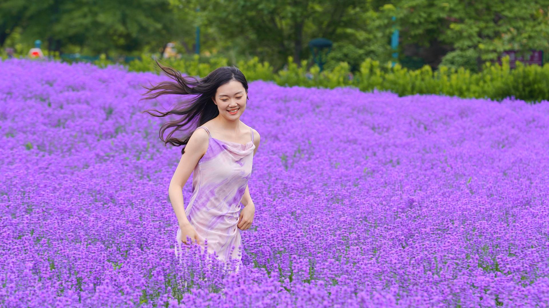 年轻美女在薰衣草田里快乐奔跑升格50pp视频的预览图