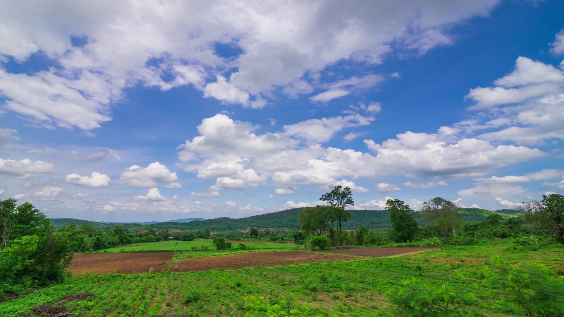 美丽的绿色春天乡村景观和绿色的田野视频的预览图