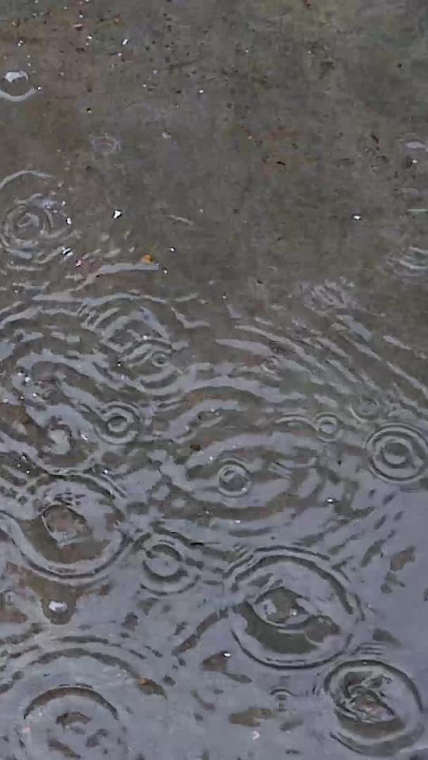 下雨天视频的预览图