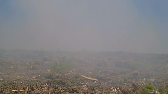 农村土地上的雾视频的预览图
