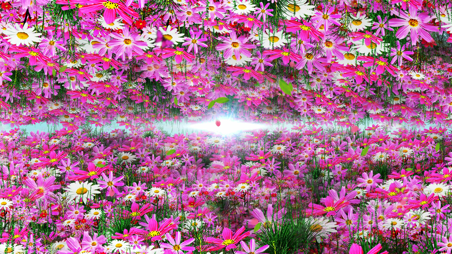 4K唯美的花丛蝴蝶背景素材视频的预览图