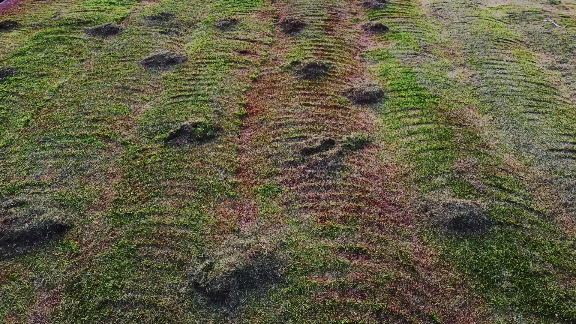 干草堆在田里视频的预览图