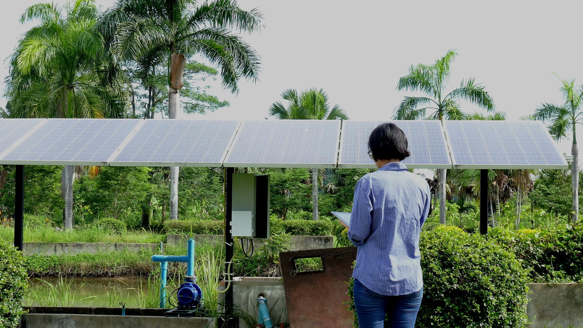 农民使用平板电脑监控太阳能电池视频的预览图