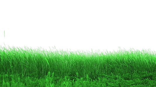 美丽的草原绿视频的预览图