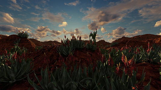 仙人掌植物在沙漠景观中有红花视频的预览图