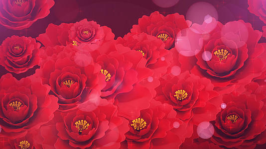 温馨唯美玫瑰花背景视频素材视频的预览图