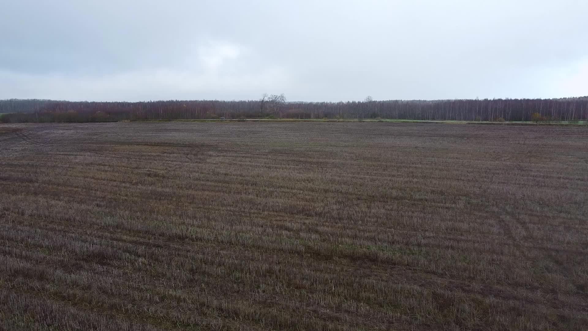 农村从空气中收获的田地视频的预览图