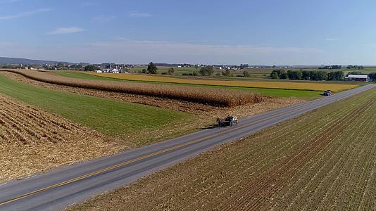 秋天阳光明媚的农场收割玉米视频的预览图
