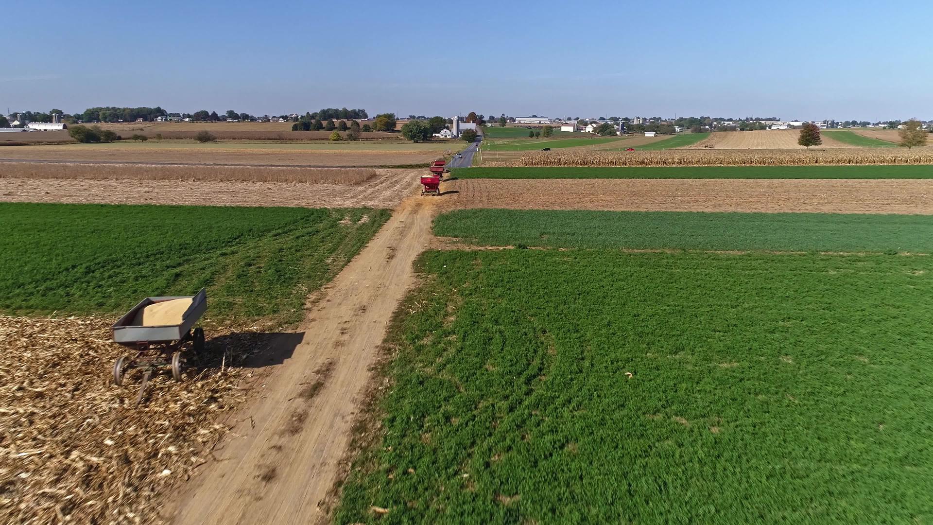 无人驾驶飞机飞越农田和麦田采伐视频的预览图