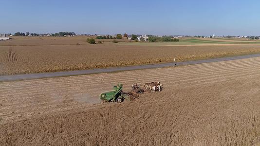 无人机飞越阿米什农民和马正在收割的农田和麦田视频的预览图